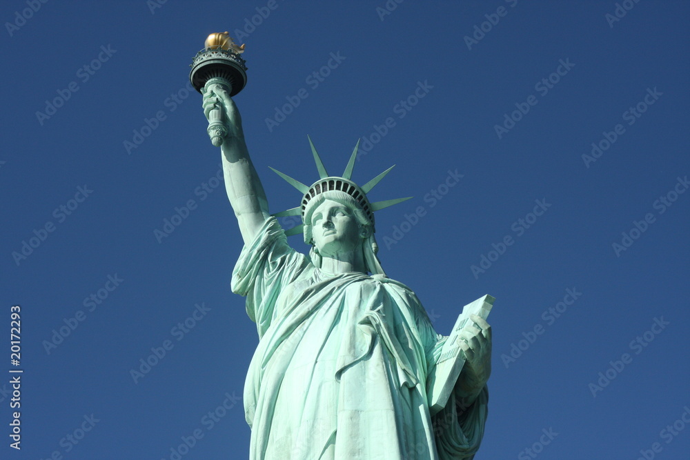 Fototapeta premium Statue of Liberty #5