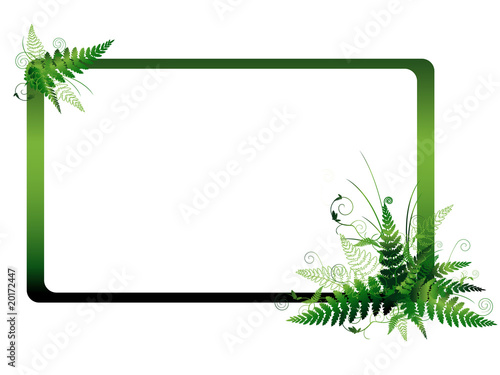 fern frame