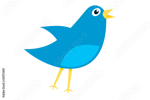 Twitter bird