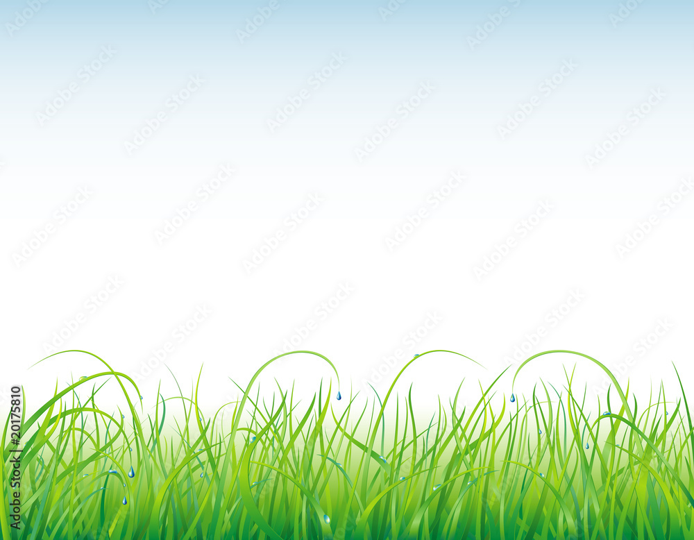 Obraz premium Background with the grass and drops