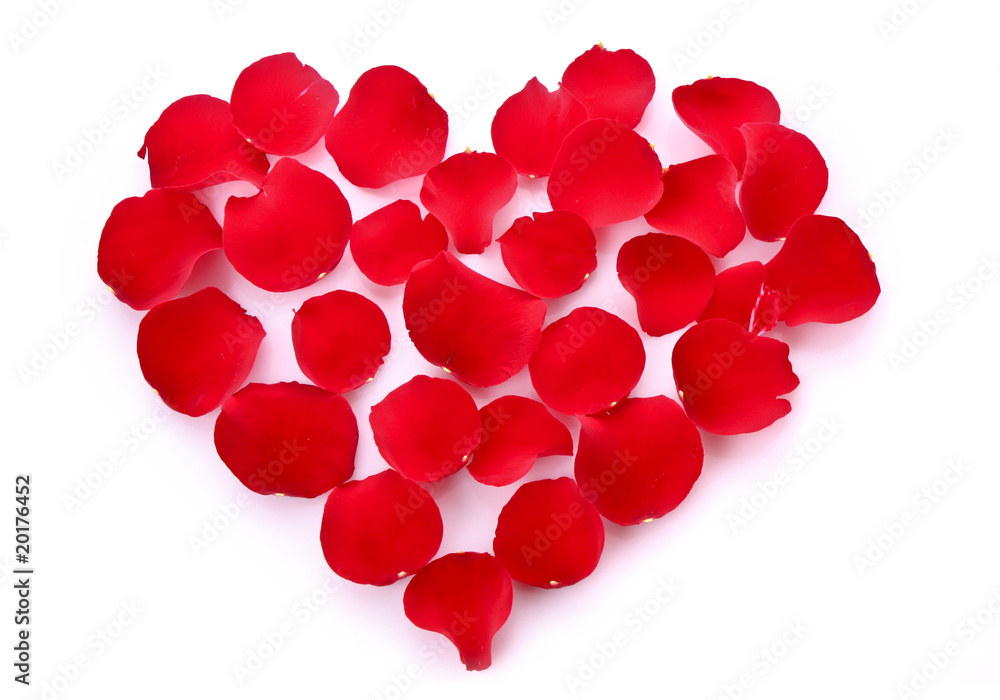 rose petals in heart symbol isolated on white rose petals in heart symbol isolated on white