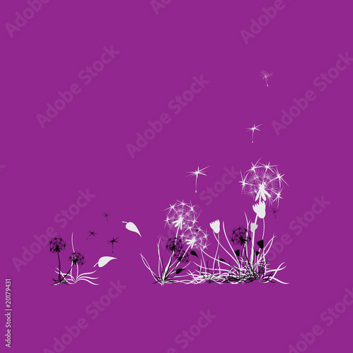 background with dandelions