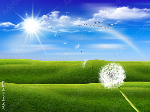 dandelion plant flying behind a beautiful green fields