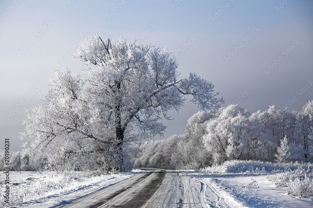 Winter road and landscape with frosted trees and rime Winter road and landscape with frosted trees and rime