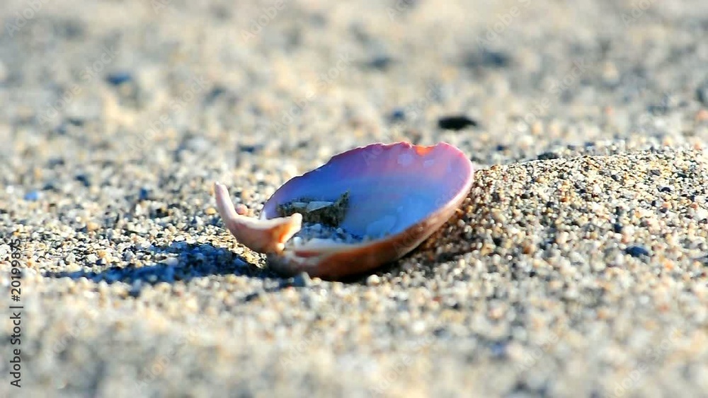 Spiaggia