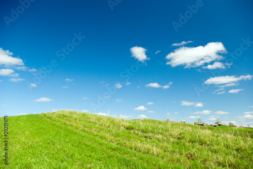 Beautiful Green Meadow with white clouds