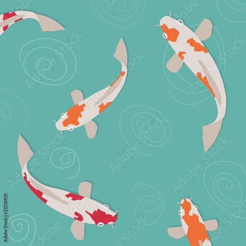 koi carp
