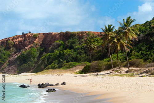 Beautiful beach with palm trees at Praia do Amor Brazil photo
