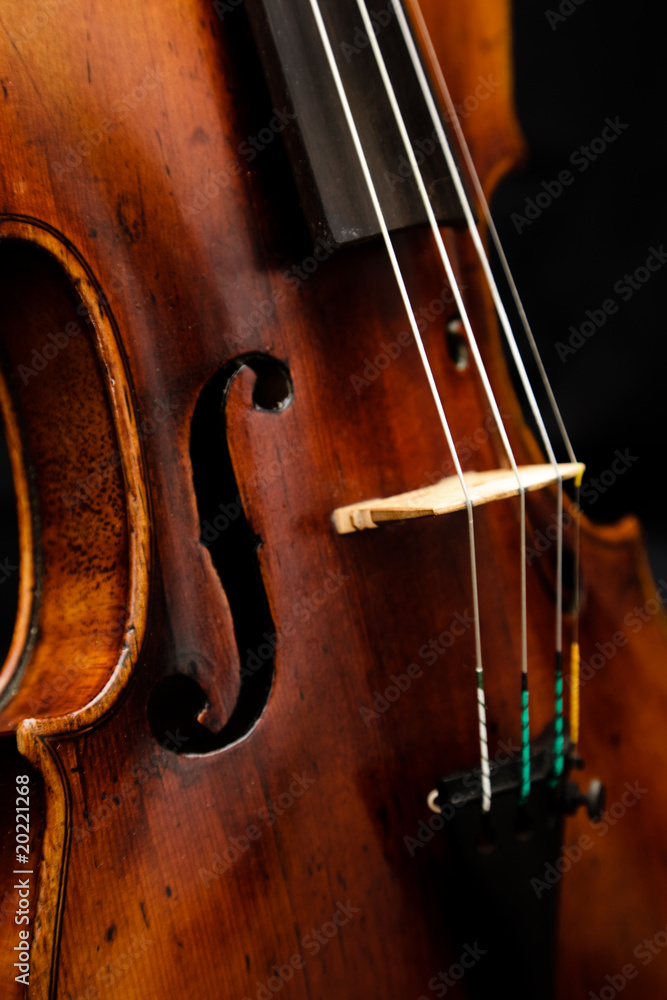 Violin detail