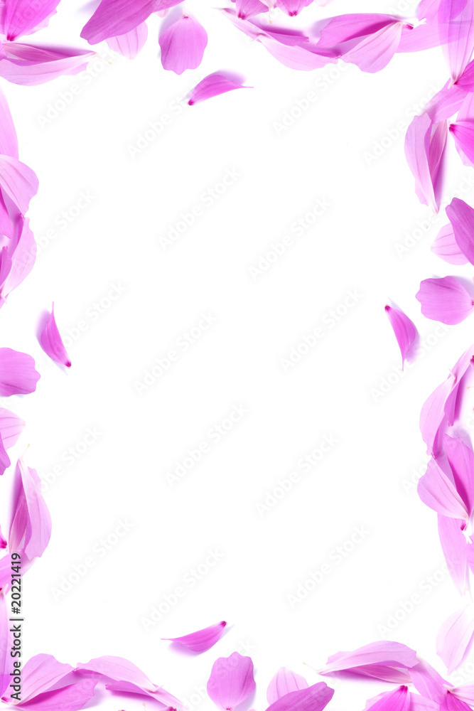 Petals of flowers Petals of flowers