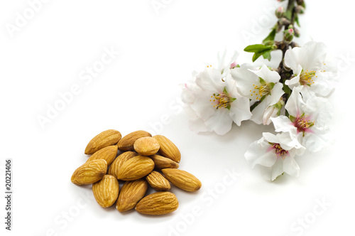 Fototapet Almond flowers and nuts