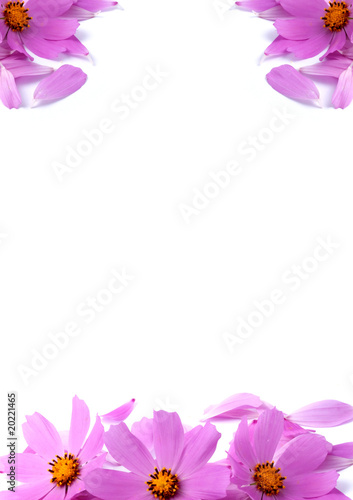 Petals