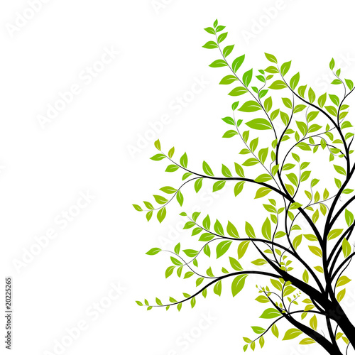 tree branch vector - green and natural floral design element