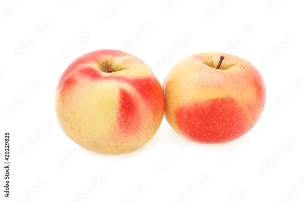 Two yellow-red apple Isolated on white Two yellow-red apple Isolated on white