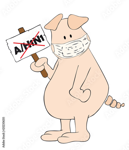 Pig with face mask and A/H1N1 placard in the hand.