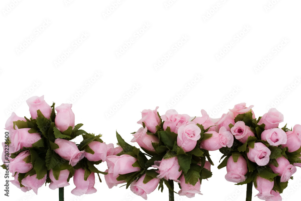 Flower Border Flower Border