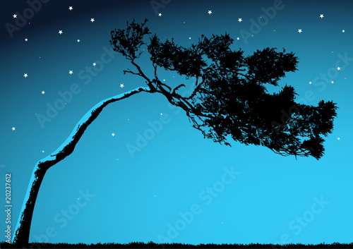 vector tree