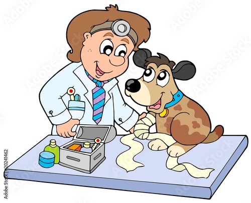 Dog with sick paw at veterinarian