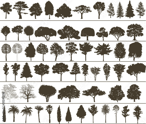 vector trees