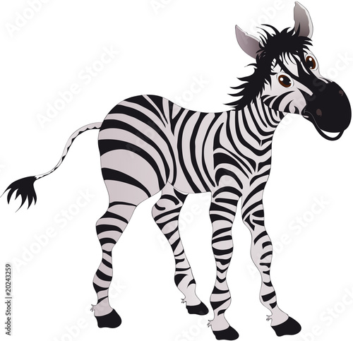 Obraz na płótnie zebra w salonie