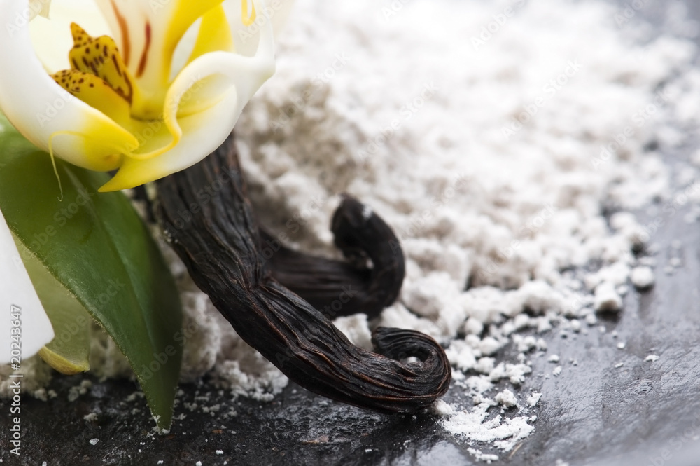 vanilla beans with aromatic sugar and flower vanilla beans with aromatic sugar and flower