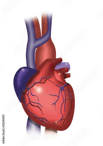 Corazón