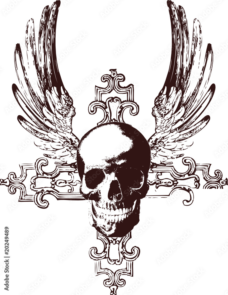 Fototapeta premium skeleton