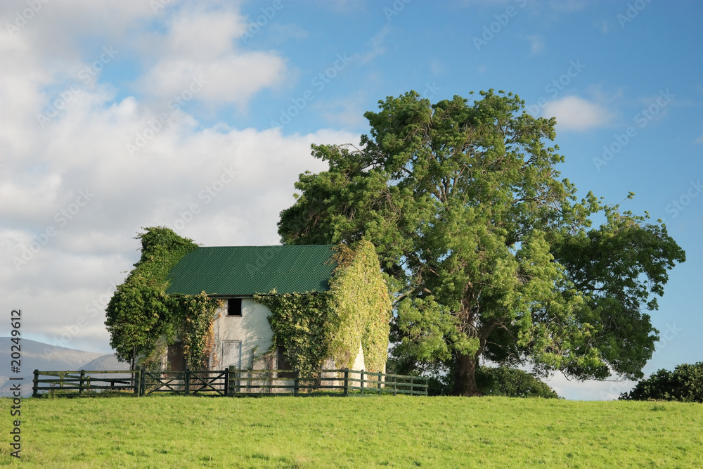 Country house Country house