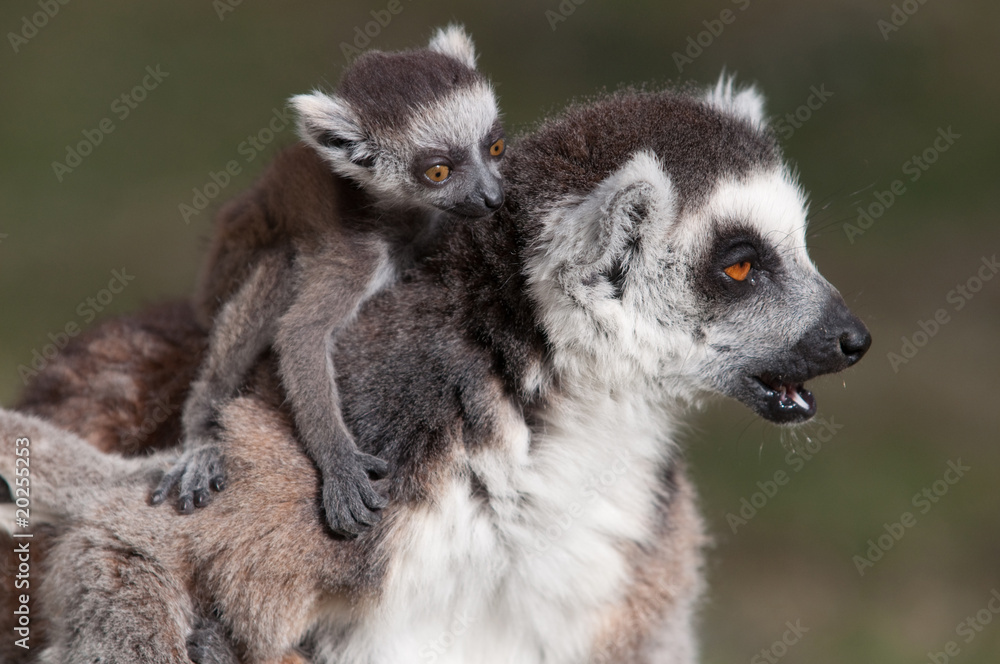 mother is not happy mother is not happy