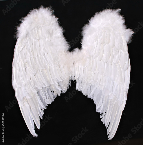 Adult Angel Wings Photography Prop