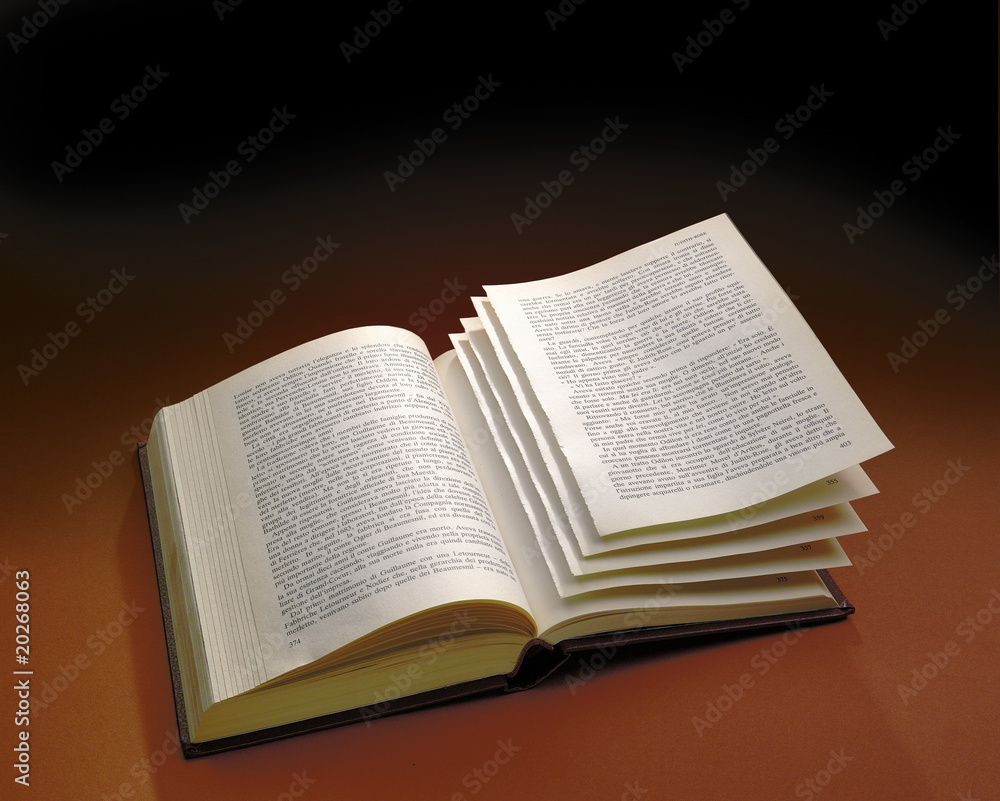 Fototapeta premium libro