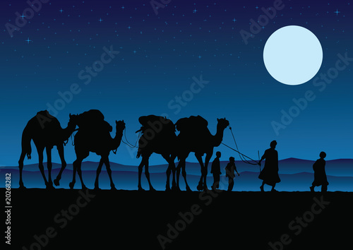 Camel Caravan