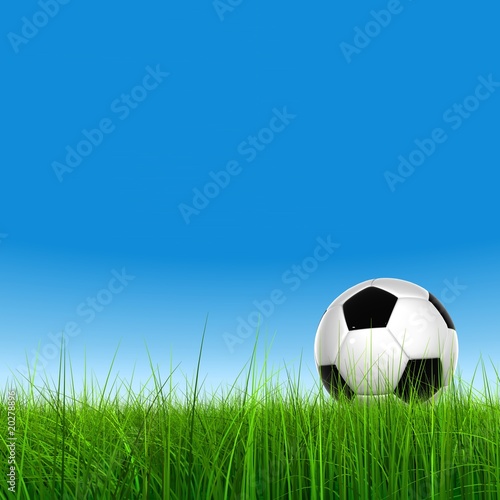 3D black soccer ball,green grass and a blue sky © high_resolution