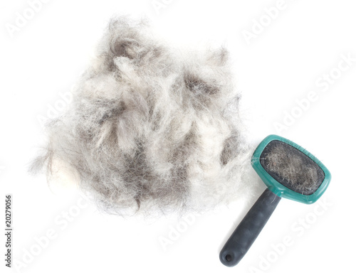 Dog Grooming Brush and Hair