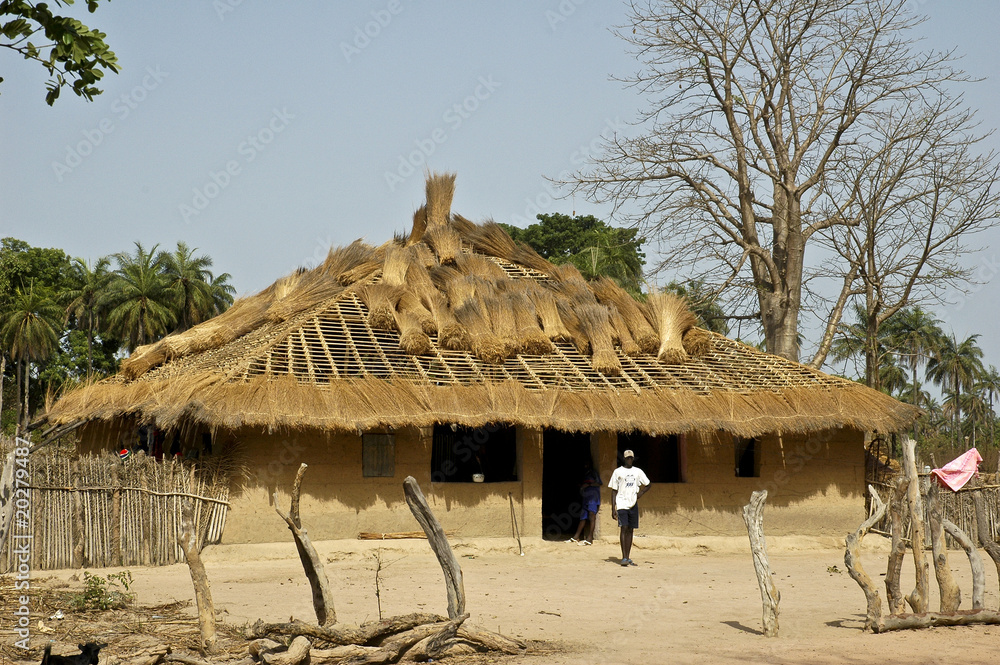 changing thatch on an african house changing thatch on an african house