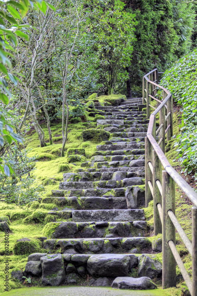 Naklejka premium Kamienne Schody w Ogrodzie Japońskim