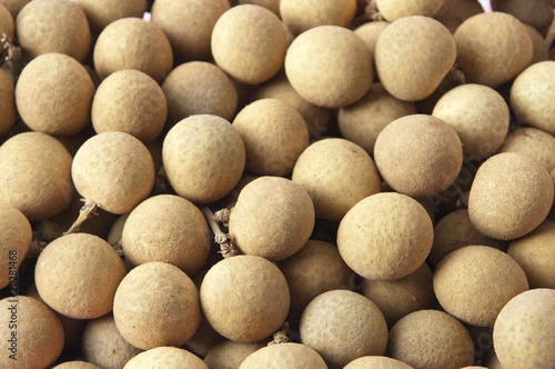 longan