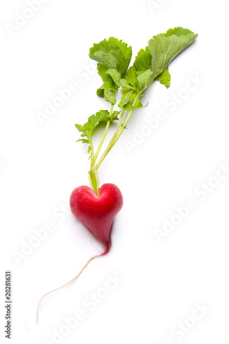 Radish as a heart