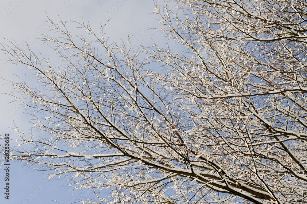 Fototapeta premium Winter in Deutschland