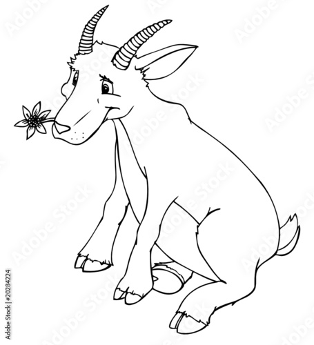 Steinbock, Capricornus, Capricorne, Capricornio, Sternzeichen