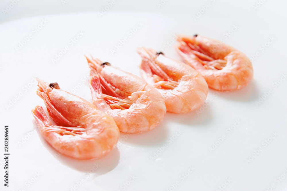 Row of shrimps Row of shrimps