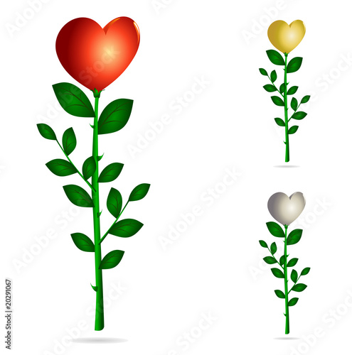 Rosa a forma di cuore