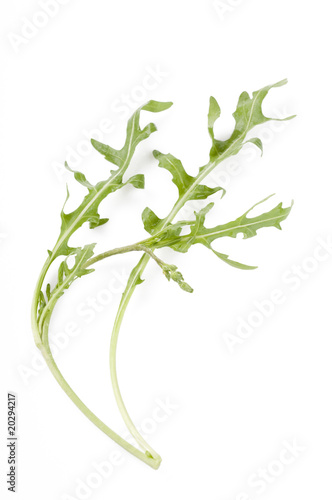 Rucola leaf isolated over white