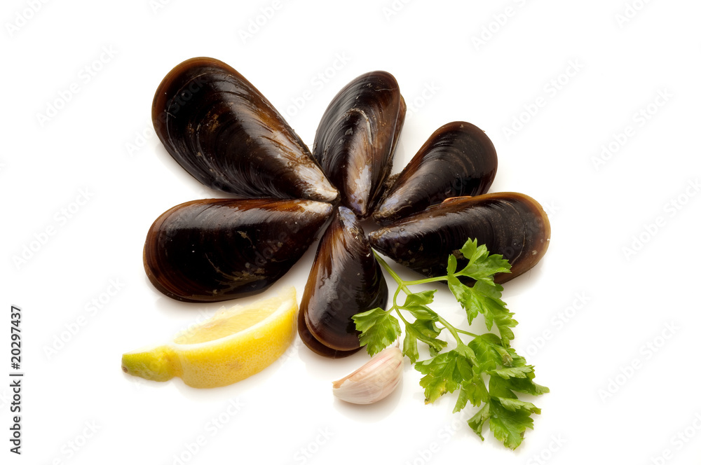 cozze con fetta di limone e prezzemolo cozze con fetta di limone e prezzemolo