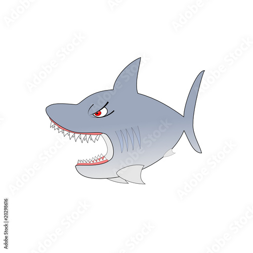 Shark Vector Illustration