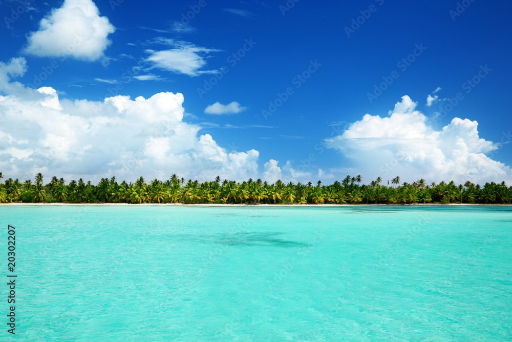 palms and caribbean sea