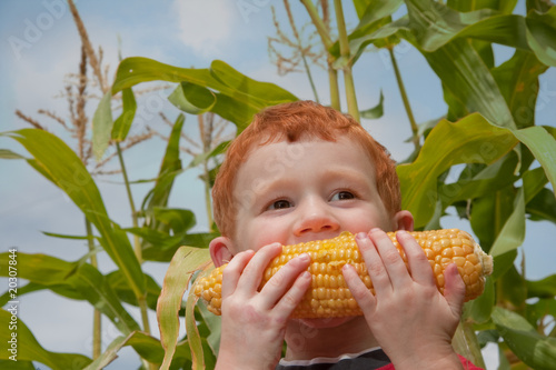 Young boy eating fresh corn