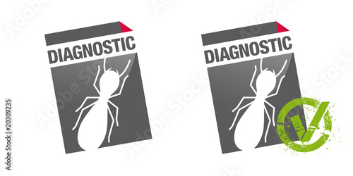 diagnostic termites