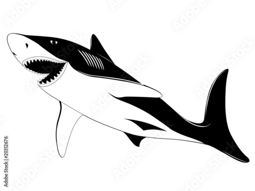 Shark, tattoo