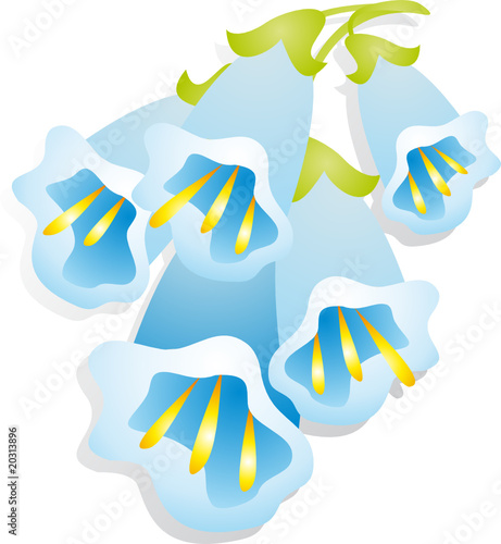 Flower vector
